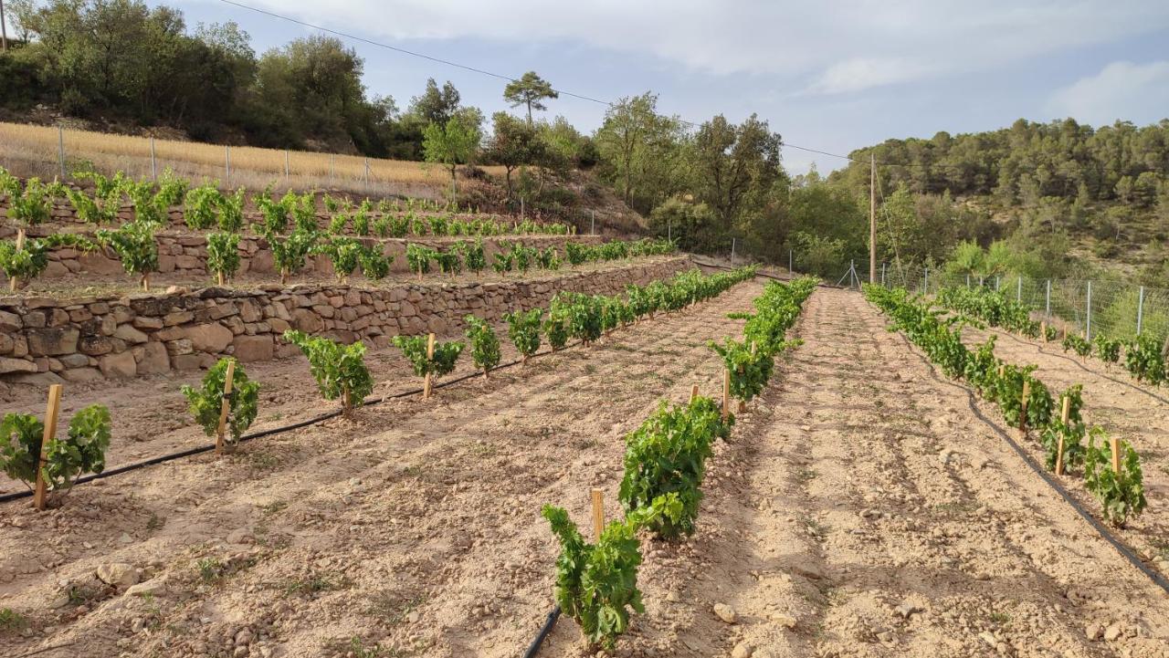 Cal Ros Calonge de Segarra Exterior foto